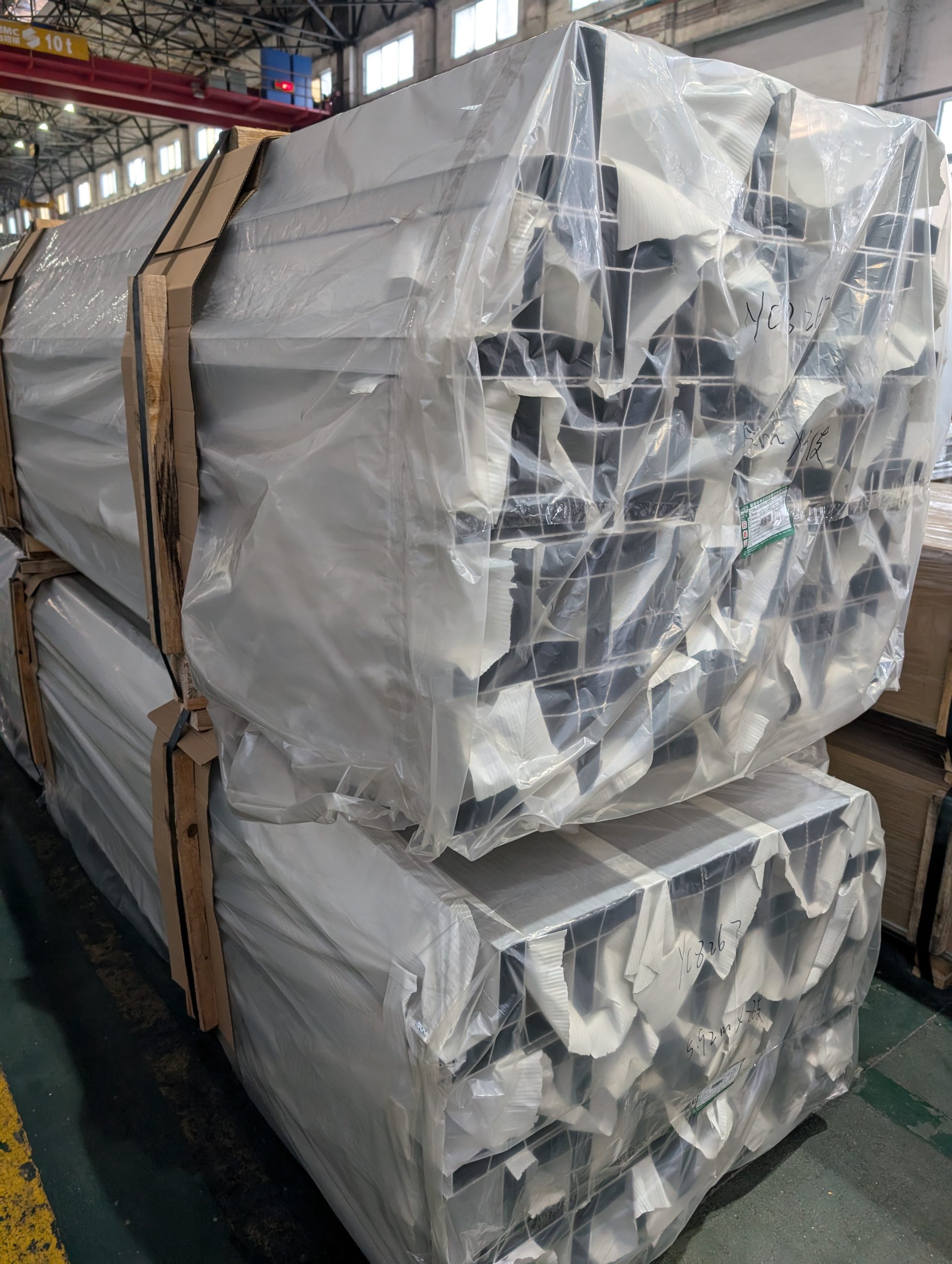 pxl 20241126 085741039 scaled.jpg